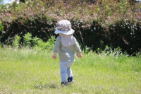 IMG_1294_R_R