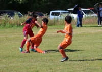 IMG_6332_R_R