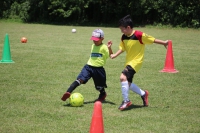 IMG_1955_R_R