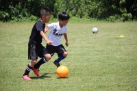 IMG_2011_R_R
