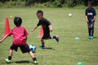IMG_2054_R_R