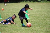 IMG_2084_R_R