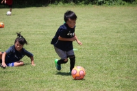 IMG_2085_R_R