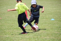 IMG_2117_R_R