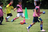 IMG_2461_R_R