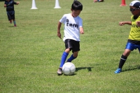 IMG_2550_R_R