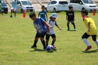 IMG_6704_R_R