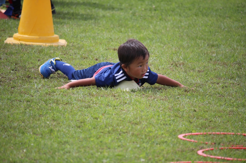 IMG_3208_R_R