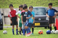 IMG_2719_R_R