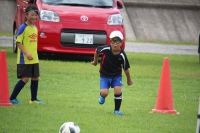 IMG_3118_R_R