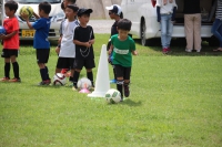 IMG_3362_R_R