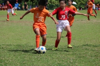 IMG_6893_R_R
