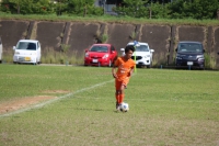 IMG_7031_R_R