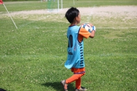 IMG_3439_R_R