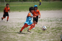 IMG_3507_R_R