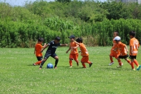 IMG_7333_R_R