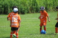 IMG_7336_R_R