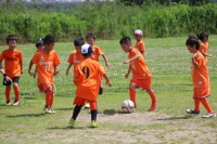 IMG_7337_R_R
