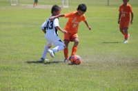 IMG_7781_R_R