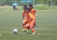 IMG_4236_R_R