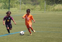 IMG_4253_R_R