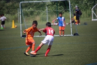 IMG_4783_R_R