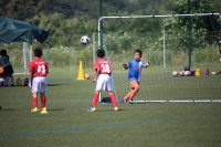 IMG_4804_R_R