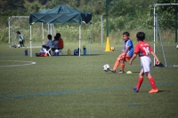 IMG_4934_R_R