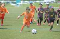 IMG_8002_R_R