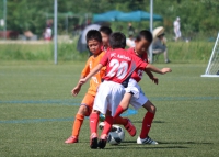 IMG_8048_R_R