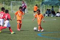 IMG_8063_R_R