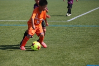 IMG_8103_R_R