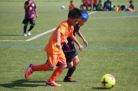 IMG_8104_R_R