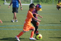 IMG_8132_R_R