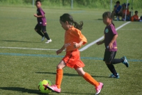 IMG_8172_R_R