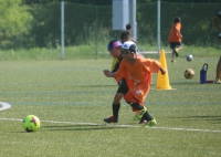 IMG_8195_R_R