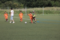 IMG_8212_R_R