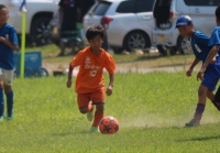 IMG_8653_R_R