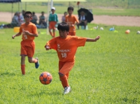 IMG_8688_R_R
