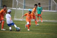 IMG_5221_R_R