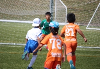 IMG_5234_R_R
