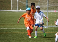 IMG_5267_R_R