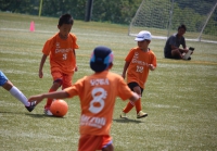 IMG_5294_R_R