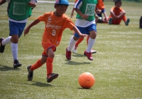 IMG_5311_R_R