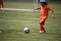IMG_5420_R_R