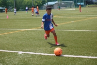 IMG_9006_R_R