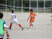 IMG_6000_R_R