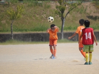 IMG_6382_R_R