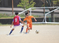 IMG_6387_R_R