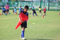 IMG_0981_R_R